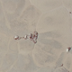 Imagen para el artículo titulado La NASA publica las imágenes a color de Plutón más detalladas en la historia